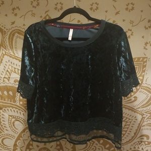 Velvet Top